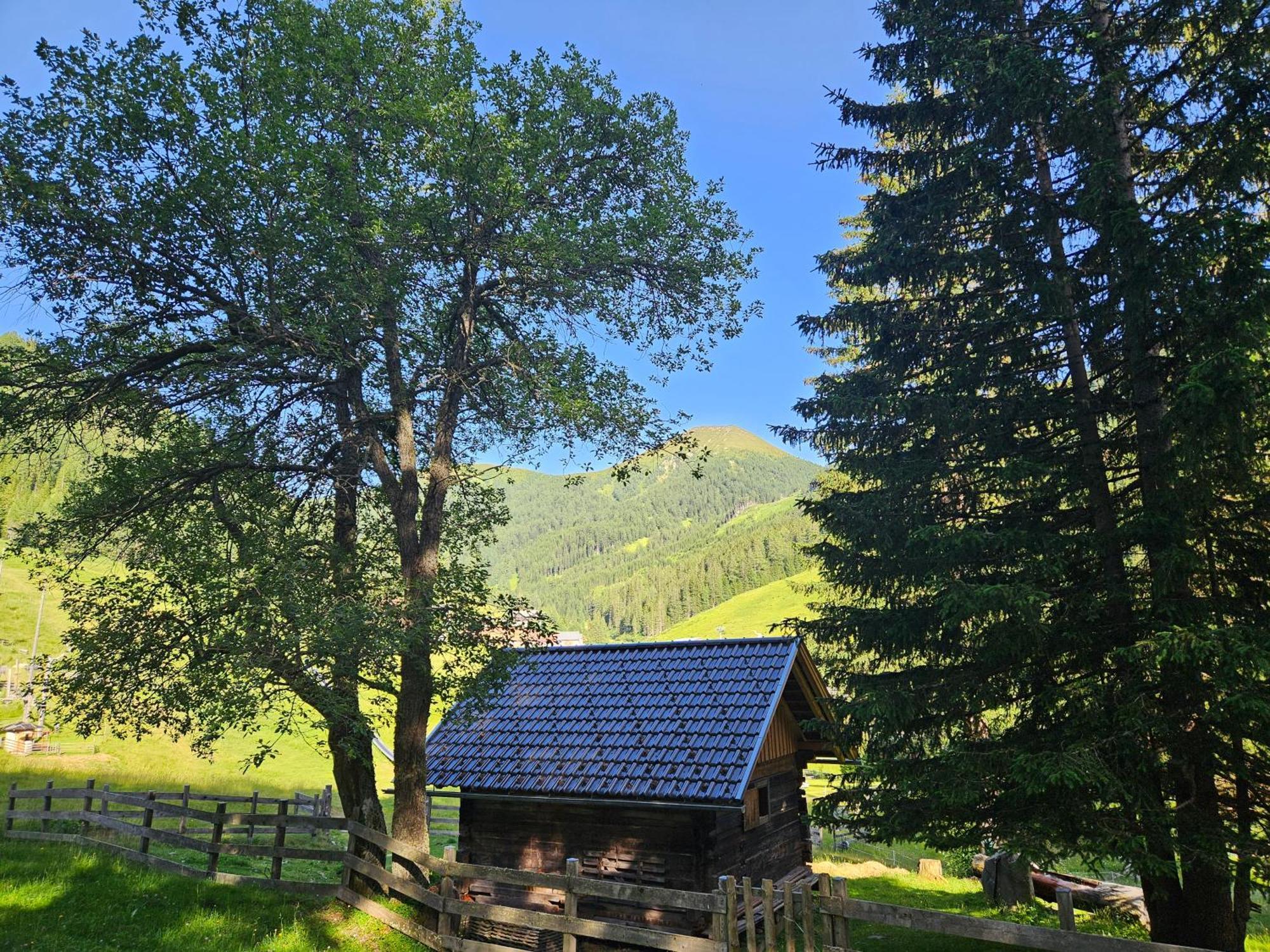 Kinder- und Familienhotel Nockalm Innerkrems Exterior foto